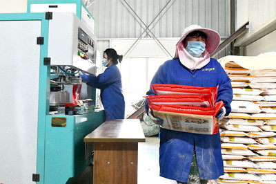 推動產業融合發展，助力糧食增產增收——糧食加工產業的戰略路徑