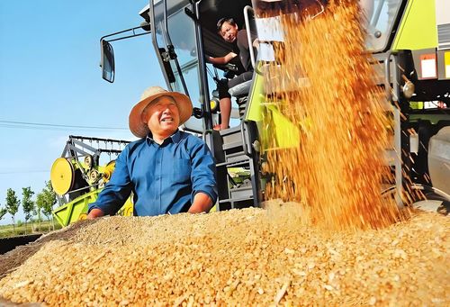 增效50%！揭秘糧食大廠的秘密武器——安達發(fā)APS生產(chǎn)排產(chǎn)軟件