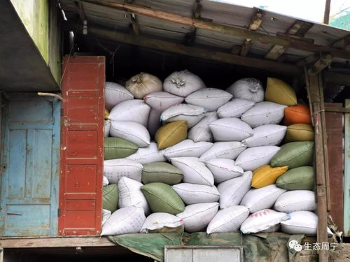 官方辟謠糧倉充足，市民勿需恐慌性搶購