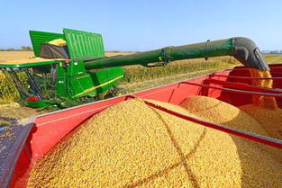 世界糧食日 糧食加工背后，那些被忽視的農機故事