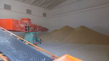 洋浦國際糧油物流加工產業園加快建設，賦能糧食加工產業升級